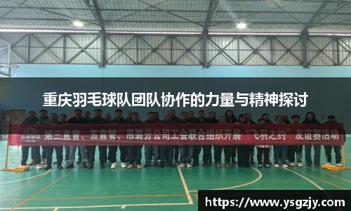 重庆羽毛球队团队协作的力量与精神探讨